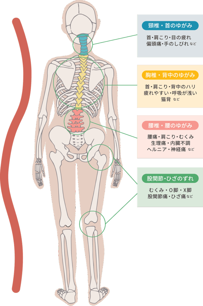 体のゆがみによる症状例|目黒区洗足駅前|深澤治療室