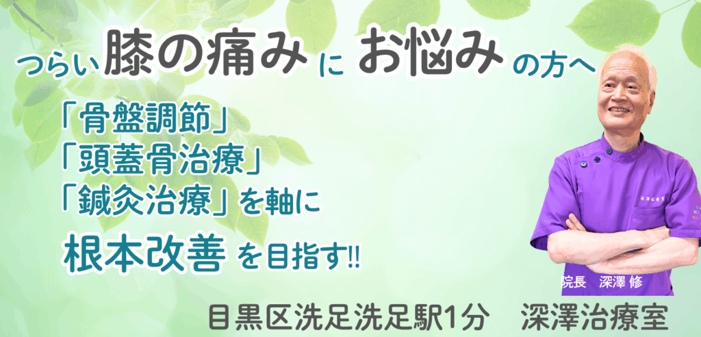 深澤治療室|膝の痛みヘッダー|洗足1分|整体