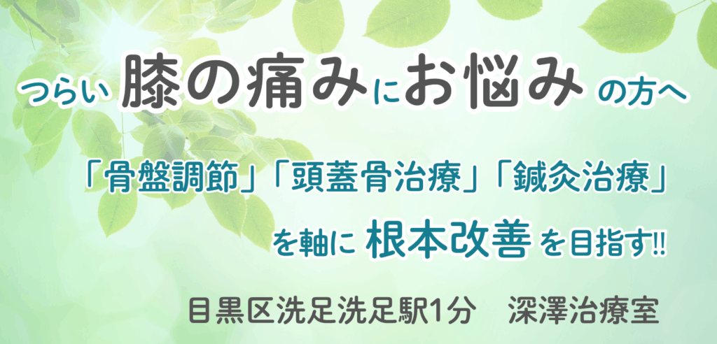 洗足駅でつらい膝の痛みにお悩みの方へ|根本改善を目指す「深澤治療室」