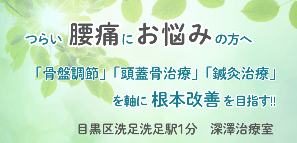 洗足駅でつらい腰痛にお悩みの方へ|根本改善を目指す「深澤治療室」